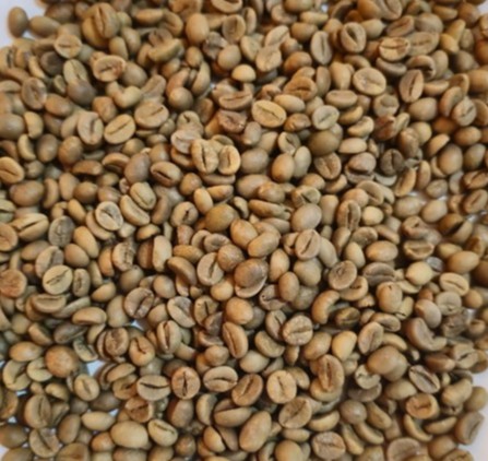 Java Robusta Coffee